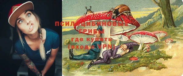 крисы Семилуки