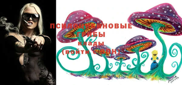 герыч Верхний Тагил