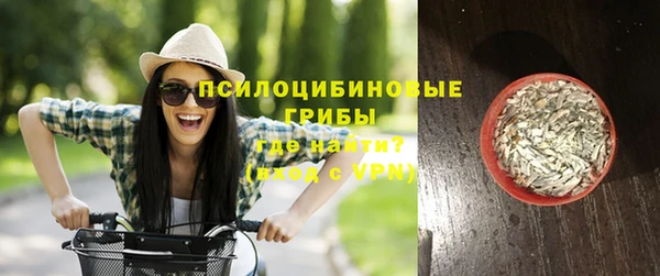трава Верея