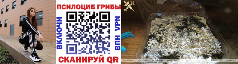 hydra ONION  Кизилюрт  Псилоцибиновые грибы Cubensis 